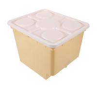 Hydroponic Bucket Plastic Greenhouse Soilless Cultivation for Fruit Plants