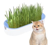 Hydroponic Cat Grass Growing Set - Fresh Fiber Indoor Wellness Garden, Soil-Free Pet Digestion Grass, Natural Control Kit, Easy Grow Kitten Enrichment Toy, Free Organic Greens | For