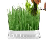 Hydroponic Cat Grass Planter, Cat Grass Planting Container, Hydroponic Cat Grass Planter, Soilless Culture Sprout Tray for Indoor Growing, Sprouting Trays with Hydroponic Growing System