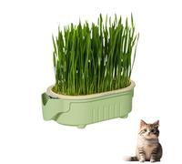 Hydroponic Cat Grass Pot,Cat Grass for Indoor Cats,Catnip Plant,Beginners-Friendly C/at Grass Planter,Pet Snacks Gra/ss for Cats,C/at Plant Pot with Ca/t Gr/ass Se/eds,Soil-Less Watering