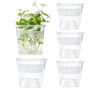 Hydroponic Flower Planter - Segmented Growing Vessel | Visible Root Growth Display Container System Cultivation Unit Set With Lily Indoor Outdoor Gardening Three Piece Kit