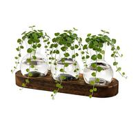 Hydroponic Glass Planter - Plant Propagation Station,Wood Base Rooting Terrarium | Desktops Rootings Terrariums Decorative Flowers HoldersFor Bedroom Bookshelf Dorm Living Room Workplace Table Counter