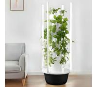 Hydroponic Growing System with Adjustable LED Grow Light for Indoor Herb and Vegetable Gardening