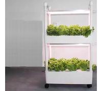 Hydroponic Growing System with LED Grow Light for Indoor Herb, Fruit, and Vegetable Gardening