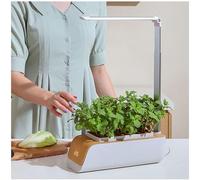 Hydroponic Herb Garden Indoor, Plant LED Grow Light Separate Design,Easy Cleaning,180ºAdjustable, Lettuce Grower Indoor, Mini Plantlets for Bonsai Succulents