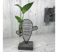 Hydroponic Home Décor - Cactus & Lab Pot