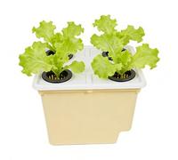 Hydroponic Indoor Planter, Soilless Cultivation System, Self Watering Tray with Drainage, Compact Indoor Windowsill Balcony Garden Greenhouse, Reusable Eco Friendly Container, Easy Grow Setup