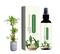 Hydroponic Plant Food | Brazilian Wood Houseplant Fertilizer | Liquid Fertilizer Lucky Wood Houseplant Fertilizer Liquid Fertilizer for Lucky Wood