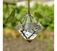 Hydroponic Plant Vase Clear Glass Diamond Shape Terrarium Holder for Indoor Plants Flowers Aquatic Garden Balcony Office Desk Study Room Bookshelf Decoration