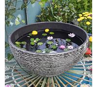 Hydroponic Planter Bowl - Marble Texture Design for Succulent Display, Fish Pond, and Bird Bath