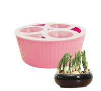 Hydroponic Planter Indoor 3-Hole Daffodil Planter | Flower Bulb Planting Container for Gardeners Apartment Office Beginners Indoor Windowsill Kitchen Living Room Bedroom