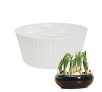 Hydroponic Planter Indoor | 3-hole Hyacinth Planter,Daffodil Bulb Garden Pot,for Apartment Office Teachers Seniors Beginners Indoor Windowsill Kitchen Bedroom Holiday Birthday Home Desk