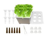 Hydroponic Planting Box Indoor Seedling Container All Season Cultivation PP Material Complete Set Balcony Parterre Hotel Lettuce Flower Vegetable Starter Kit Soilfree Sustainable Gardening