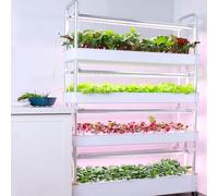 Hydroponic Planting System with Automatic LED Grow Lights - Indoor Vertical Farming Tower for Soilless Multi-Layer Smart Gardening