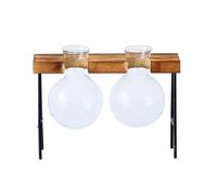 Hydroponic Plants Glass Bulb Vase with Wooden Frame