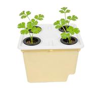 Hydroponic Vegetable Planter - Gardening Supply Siphonic Drainage Greenhouse Container Soilless Cultivation System | Indoor Windowsill Garden Outdoor Balcony Greenhouse Tomato Cucumber Fruit