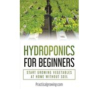 Hydroponics for Beginners: Start Growing Vegetables at Home Without Soil