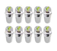 Hydroponics Growing Planting Container Hydroponics Supplies Plant for Vegetable Beet Kitchen Accessories Hydroponic Seedling Planter Seedling Basket Transparency Root View Cups Flower Growing