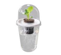 Hydroponics Growing Planting Container Hydroponics Supplies Plant for Vegetable Beet Kitchen Accessories Hydroponic Seedling Planter Seedling Basket Transparency Root View Cups Flower Growing