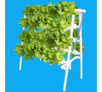 Hydroponics Growing System for Beginners, Food-Grade PVC-U Pipe Hydroponics Kit, Ideal for Home Kitchen Windowsill Gardening, Easy Indoor Plant Growth