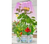 Hydroponics Growing System kit with Trellis,Smart Hydroponic Gardening System with LED Grow Light, Indoor Hydroponic Garden Herb Grow Kit for Short Tomato,Pepper,Cucumber (6200LC)