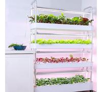 Hydroponics Growing System with Automated LED Grow Lights - Indoor Vertical Garden Tower for Soilless Multilayer Farming, 90 Holes