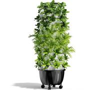 Hydroponics Growing System with Pump and Timer - Indoor Tower Kit for Growing Herbs, Fruits and Vegetables - 80 Pot Setup with Net Pots