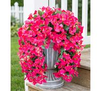 HyeFlora Bougainvillea Artificial Hanging Flowers Plants for Outdoors Decoration, 2pcs Fake Flowers Silk Bougainvillea Vines Realistic UV Resistant Faux Flowers for Planters Porch Patio Urn, Hot Pink