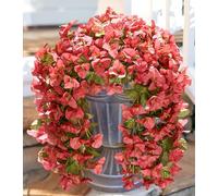 HyeFlora Bougainvillea Artificial Hanging Flowers Plants for Outdoors Decoration, 2pcs Faux Bougainvillea Vines Red Fake Flowers Realistic UV Resistant Silk Flowers for Outside Planter Yard Urn Patio