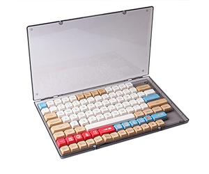 Hyekit Keycaps Storage Box, 1 pcs ABS Dustproof Display Case, with Magnetic Catches, Transparent Collection Box for Cherry XDA SA OEM MSA DSA Profile Mechanical Keyboard Keycap (Black Transparent)