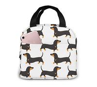 HYEPNED Lunch Bags for Men Women Dachshund Action Seamless Pattern Insulated Durable Lunch Box Tote Bag Cooler Bag for Work School Picnic Travel Beach