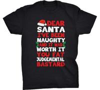 HYEWOI Dear Santa I've Been Naughty and It was Worth It Funny Rude Christmas T-Shirt BlackL