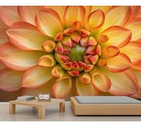 HYGIUID Dahlias Mural Florals Wallpaper Natural Flowers Wall Mural Giant Home Living Room Dining Room Wall Decor Poster (Non-self-Adhesive)