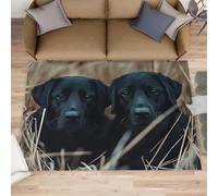 HYGIUID Labrador Kitchen Runner - 80 x 150 cm Labrador Retriever Door Runner, Field Black Dogs Print Bedroom Rugs Non Slip Anti Fatigue for Hall Entrance Hallway Corridor