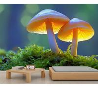 HYGIUID Mushroom Mural Mushroom Wallpaper Moss Wall Mural Giant Home Living Room Dining Room Wall Decor Poster (Non-self-Adhesive)