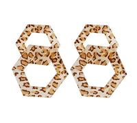 HYHJYMG jewelry for women Women Silver Earrings, Charming Hyperbole Leopard Women Long Drop Earrings Acetic Acid Tortoiseshell Geometric Lady Jewelry Brincos Bijoux Gifts For Girlfriend, Wife, Sister,