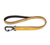 Hyhug Design Strong 3M Reflective Strip Double Color Nylon Jacquard Weave Webbing Dog Lead, Comfy Adjustable Length Safety Leash, Durable Soft Breathable, Safe Night Walk (25mm 24 inch, Tapenade)