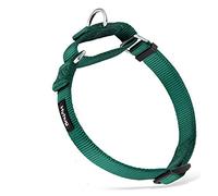 Hyhug Pets Traffic Nylon Escape-proof Martingale Dog Collar for Medium Boy and Girl Dogs (Medium, Dark Green)