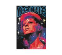 HYIFS David Bowie Poster9 Canvas Poster Wall Art Decor Print Picture Paintings for Living Room Bedroom Decoration 20x30inch(50x75cm)