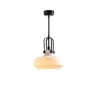 HYJAUSXB Modern creative chandelier Simple Industrial E27 Edison Retro Glass Ceiling Lamp Adjustable Vintage Pendant Light Restaurant Droplight Dining Room Barn Rusty Bar Decoration