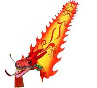 HYKJCSS Dragon Dance Lion Dance Dance Lion Outdoor Dragon Fitness Ribbon Extra Long 3D Colorful Washable Dragon Dance With 3D Dragon Head Chinese New Year(A,10m/393inch)