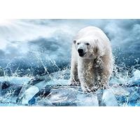 HYMZHL 3D Wallpaper Mural Polar Bear Wall Poster Abstract Art Photo Non-Woven Effect Decoration for Bedroom Living Room 118.1 x 82.7 inches(WxH)