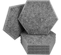 HynJGih Acoustic Foam Panel, Hexagon Acoustic Foam Panels 12 Pack Sound Proofing Padding, for Studio Acoustic Treatment(Gris)