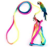 Hypeety Pet Bird Harness and Leash with Buckle Adorable Rainbow Design Safe Parrot Leash Pet Harness Outdoor Adjustable Anti Bite Training Rope for Macaw Large Size Bird (L: 1.5cm × 47.24in)