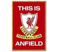 Hyper Mart Liverpool FC THIS IS ANFIELD White Framed poster - 96.5 x 66 cms - Approx 38 x 26 inches