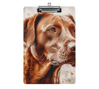 Hyper Realistic Dog Clipboard 8.5×12.5 Inch Acrylic Clip Board with Metal Clip A4 Letter Size Decorative Clipboard Cute Hanging Clipboards for Office, Teacher, Nurse, Doctor,