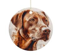 Hyper Realistic Dog Double-Sided Ceramic Christmas Ornaments - Round Hanging Mini Xmas Tree Decorations, Ideas for Farmers, Rustic Home Decor for Indoor Outdoor Tree Decor