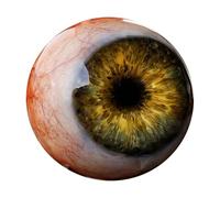 Hyper Realistic Monster Eye Decor,Scary Realistic 3D Eyeball Ornament,Creepy Gothic Eyeball Figurine Ornament,Unique Gothic Decor Gift for Horror Fans,Halloween Party (Yellow)