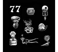 Hypnobirds - 77: A Brief Landing on the Earth's Surface [VINYL]