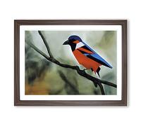 Hypnotic Bird Framed Print | A4 Walnut Framed Wall Art | Ready to Hang | Modern Nature Picture | Living Room Bedroom Lounge Office